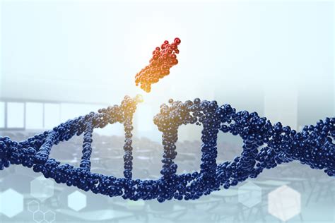 Environmental Factor - September 2023: Studying DNA damage and repair ...