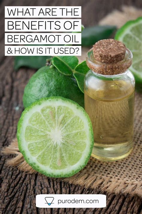 Bergamot Essential Oil - What are the benefits? | Purodem