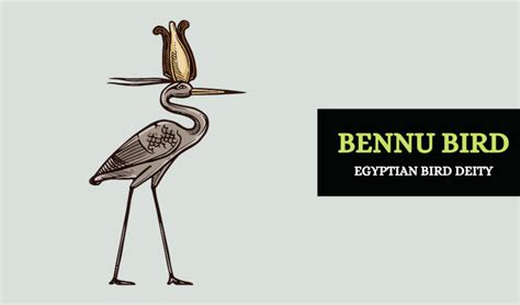 Bennu Bird – Egyptian Mythology - Symbol Sage