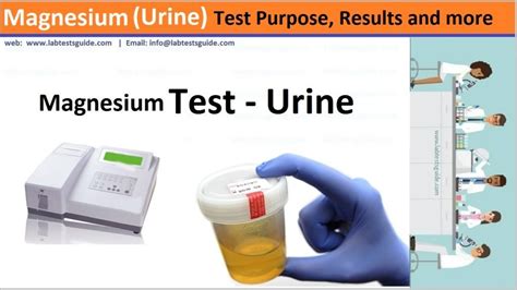 Magnesium (Urine) Test Purpose, Precations and more | Lab Tests Guide