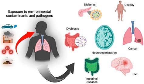 Ozone Environmental Pollution: Relationship between the Intestine and Neurodegenerative Diseases