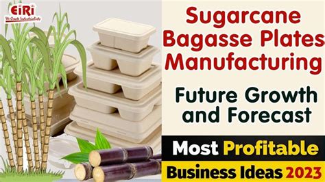 Sugarcane Bagasse Plates Manufacturing | Sugarcane, Plates, The creator