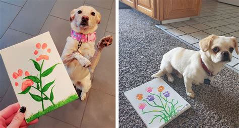 How To Safely Make ‘Paw Print Art’ At Home With Your Dog | Paw print ...