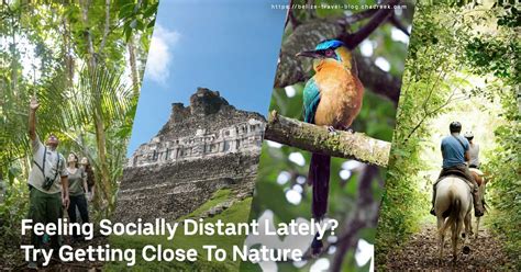 Feeling Socially Distant Lately? Try Getting Close To Nature in Belize