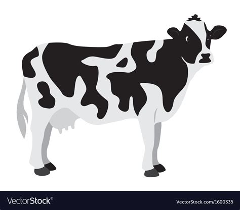 Cow Royalty Free Vector Image - VectorStock