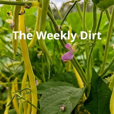 UW Farm Weekly Dirt: UW Food Pantry