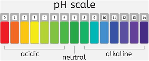 This post incorrectly claims everyone with cancer has a pH that is too ...