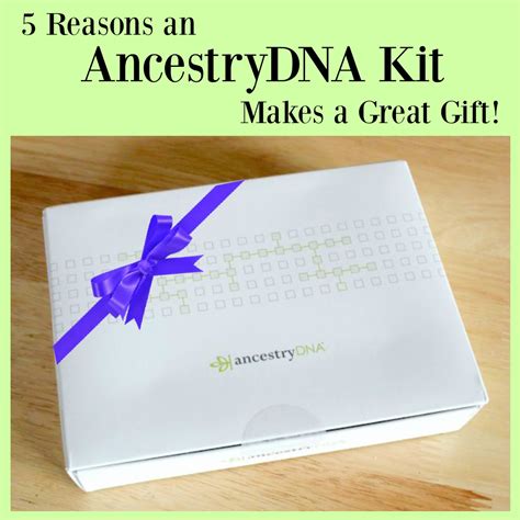 5 Reasons AncestryDNA Kits Make Great Gifts! – A Nation of Moms