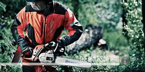 6 Best Gas Chainsaws - (Reviews & Buying Guide 2021)