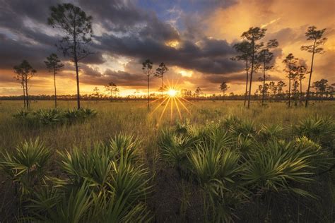 Everglades NP | Everglades, Best landscape photographers, Everglades ...