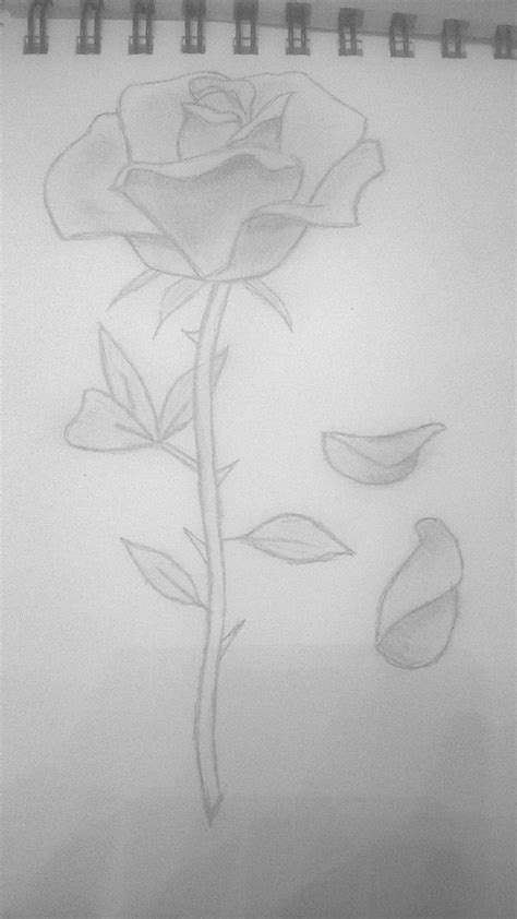 rose petals falling Rose Petals Drawing, Rose Drawing Simple, Rose Drawing Tattoo, Flower Art ...