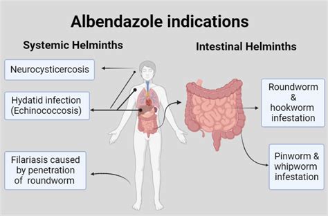 Albendazole dose for kids: proper use & dose finding