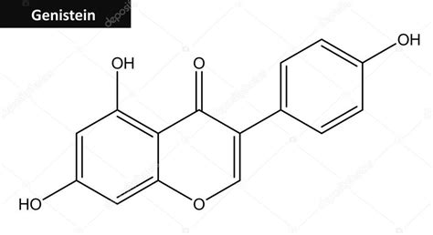 Estrutura molecular da Genisteína — Fotografias de Stock © Raimund14 ...