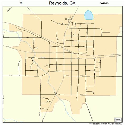 Reynolds Georgia Street Map 1364876