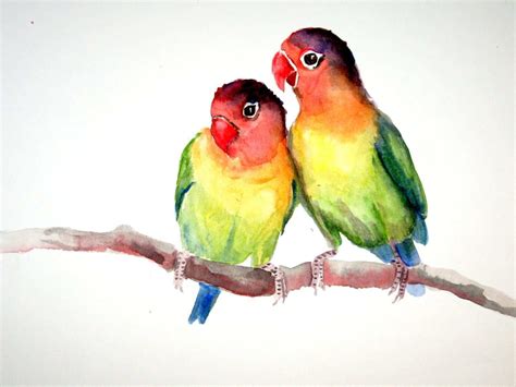 Watercolor Love Birds at PaintingValley.com | Explore collection of ...