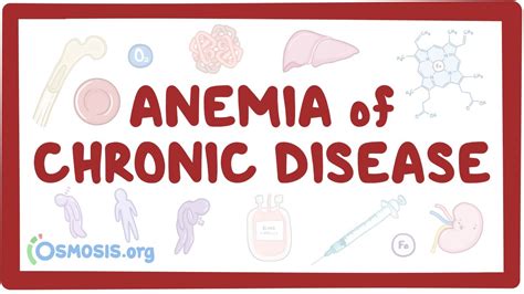 Anemia of chronic disease: Video, Anatomy & Definition | Osmosis