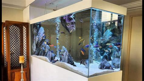 African Cichlids Tank Setup