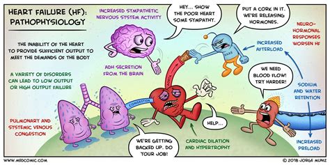 Heart Failure: Pathophysiology via Medcomic.com | Heart failure nursing, Heart failure, Nursing ...