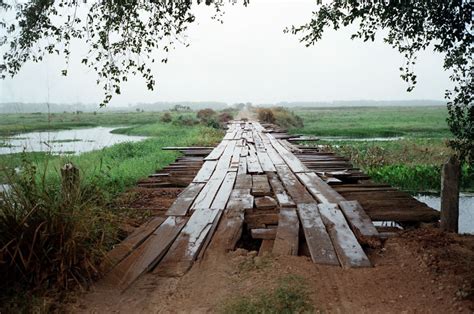 Pantanal Conservation Area: Sanctuary for Wildlife and Wetlands | LAC Geo