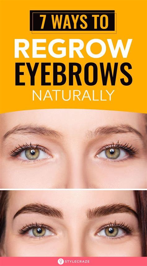 8 Ways To Regrow Eyebrows Naturally | Regrow eyebrows, How to grow eyebrows, Eyebrows