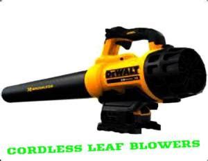 Best Cordless Leaf Blowers Reviews Of 2022