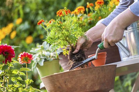 4 Spring Clean Up Tips for Your Landscape - Rhine Landscaping