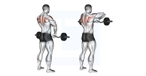 Barbell Upright Row - Guide, Benefits, and Form