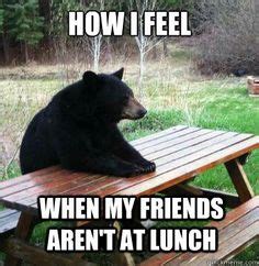 10 Lunch Memes ideas | funny animals, animals, teddy bear picnic