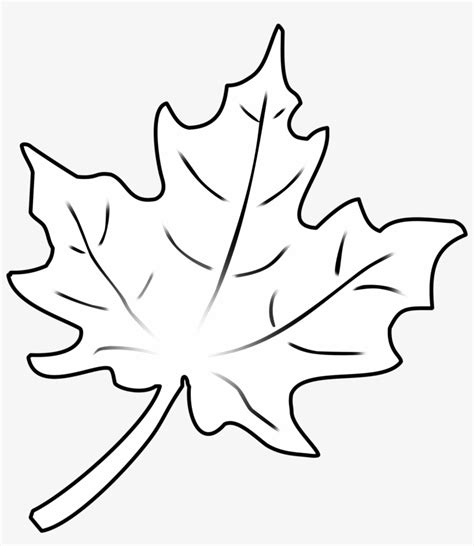 Drawings Of Leaves - Herbstblätter Vorlage - 1940x1940 PNG Download - PNGkit