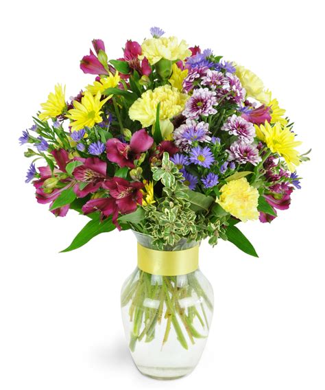 Field Of Flowers Davie Fl | Best Flower Site