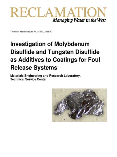 Investigation of Molybdenum Disulfide and Tungsten Disulfide As ...