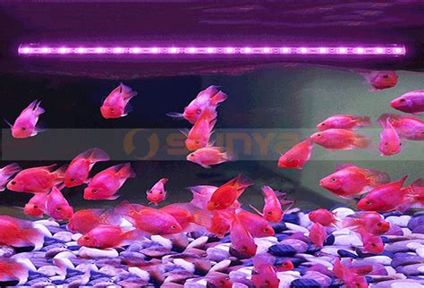 Slinya Aquarium Air Bubble Light Submersible Waterproof Clip Lamp Decor ...