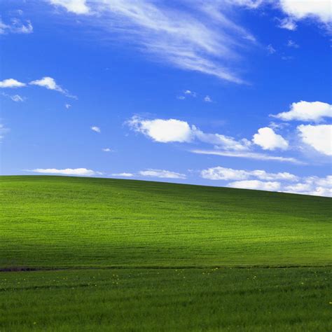 2048x2048 Windows Xp Bliss 4k Ipad Air HD 4k Wallpapers, Images, Backgrounds, Photos and Pictures