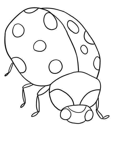 Free Printable Ladybug Coloring Pages For Kids