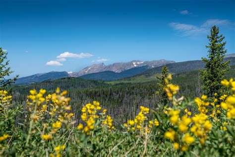 5 Best Summer Wildflower Hikes in Winter Park, Colorado | Winter park resort, Beautiful hikes ...