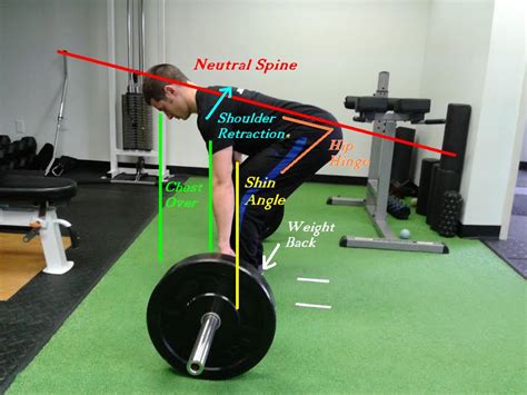 8 Deadlift Variations - Benefits And How To Perform Each - GymGuider.com