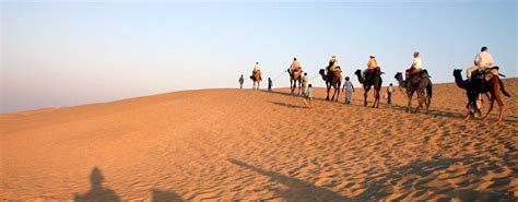 Safari Desert | Desert camp in Oman | A TRUE OMANI Desert Camp