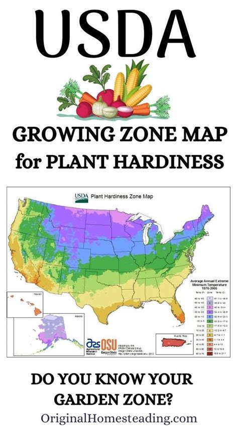 USDA Growing Zones Map of the USA | Growing zones map, Gardening zone map, Plant hardiness zone map