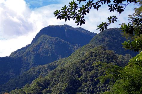 Pico Bonito National Park | Casa Cangrejal