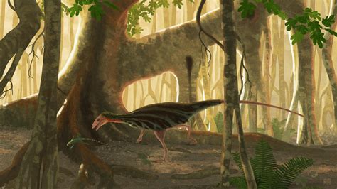 Masiakasaurus knopfleri by John Conway | 恐竜