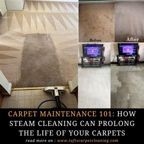 How to Deep Clean Carpet With Steam Cleaner: Ultimate Guide - The ...