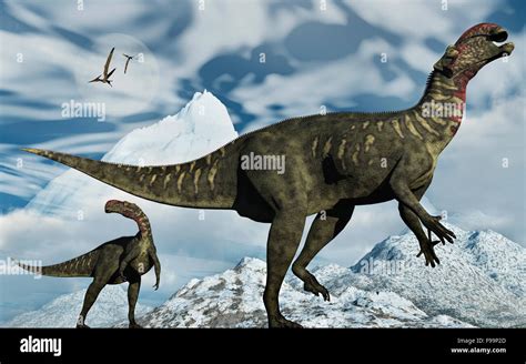 Altirhinus Herbivore Dinosaurs Stock Photo - Alamy