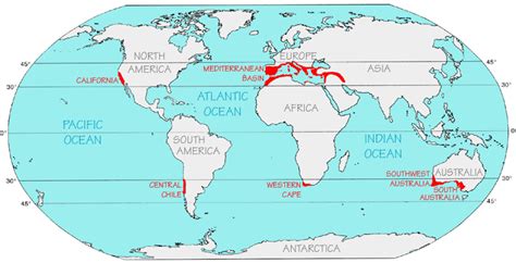 INDIA WAVE: What is a mediterranean climate?