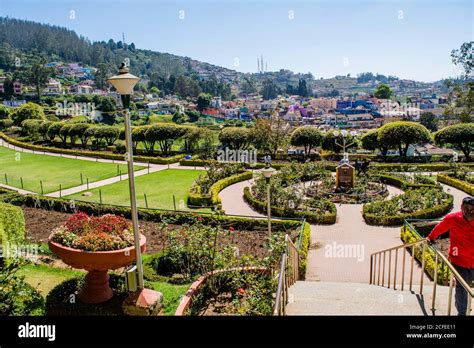 Beautiful view of botanical garden and rose garden of Ooty Tamil Nadu ...