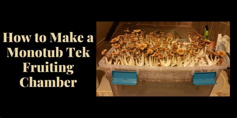 How to Make the Best Monotub Tek Fruiting Chamber