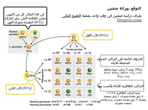 مبادئ علم الوراثة