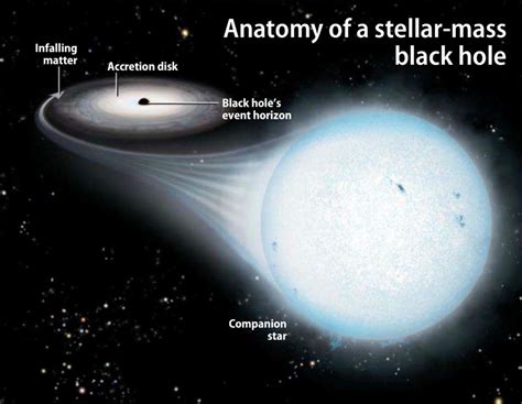 Anatomy of a stellar mass black hole [Source: Astronomy/Roen Kelly] | Memorie