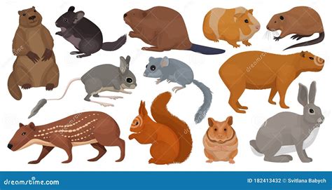 Species of Rodents Vector Cartoon Set Icon. Isolated Cartoon Set Icon ...