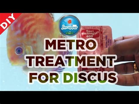 Discus fish treatment - Flubendazole side effect :( - Aquatic videos