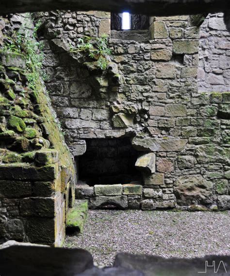 HERMITAGE CASTLE. A bucolic spot on the Scottish Borders ...